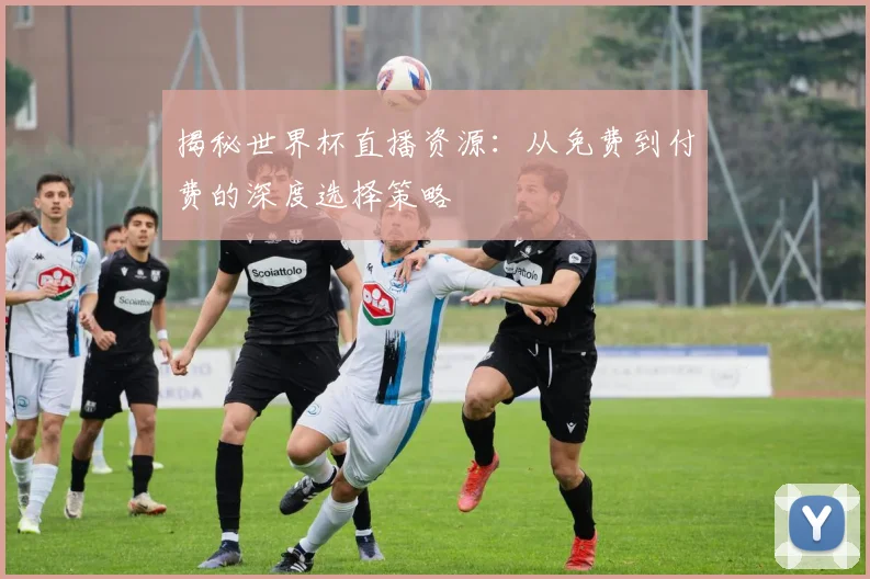 揭秘世界杯直播资源：从免费到付费的深度选择策略