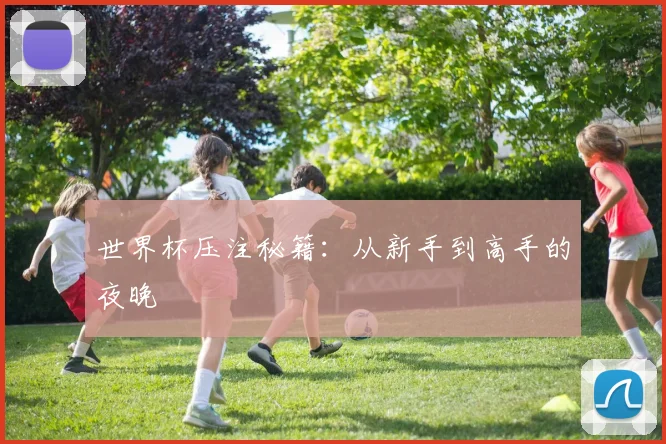 世界杯压注秘籍:从新手到高手的夜晚