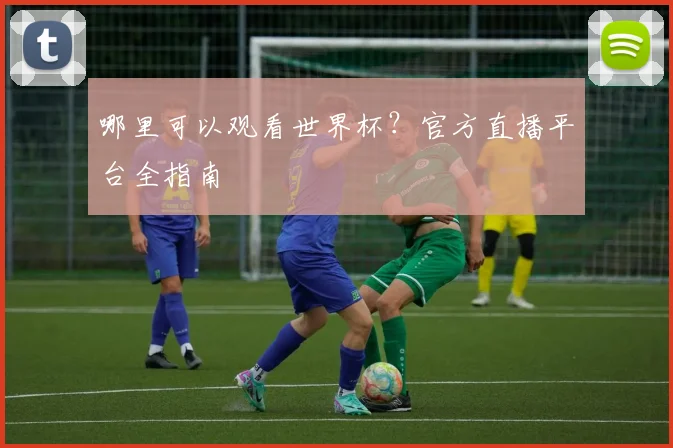 哪里可以观看世界杯？官方直播平台全指南