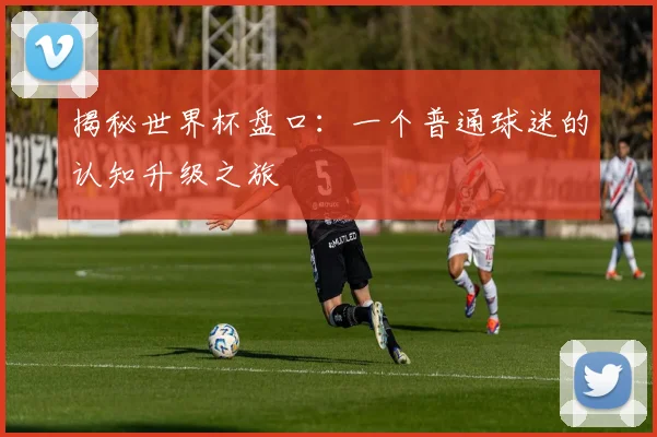 揭秘世界杯盘口：一个普通球迷的认知升级之旅