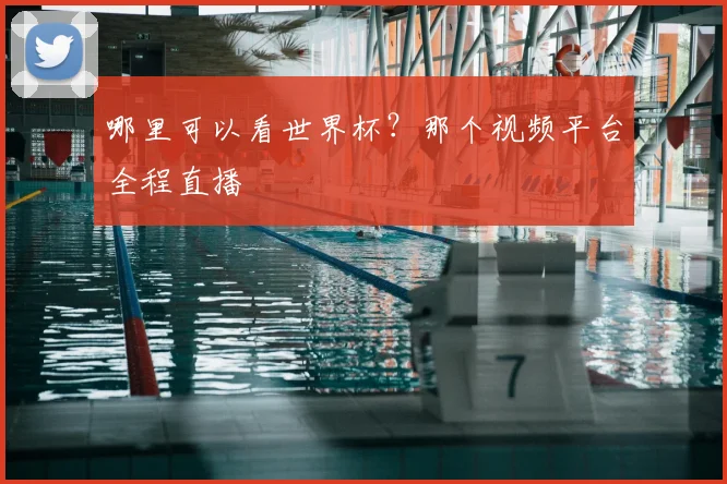 哪里可以看世界杯？那个视频平台全程直播