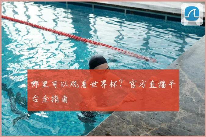 哪里可以观看世界杯？官方直播平台全指南