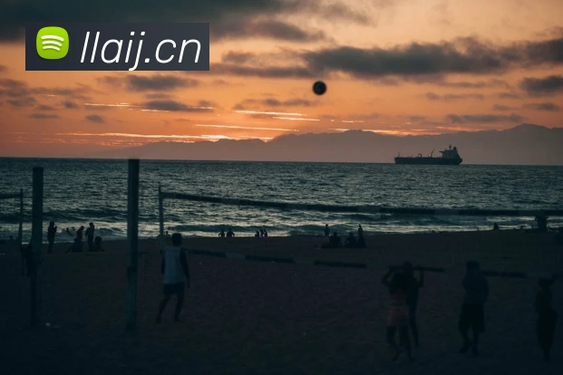 九游j9官网首页APP 封面图